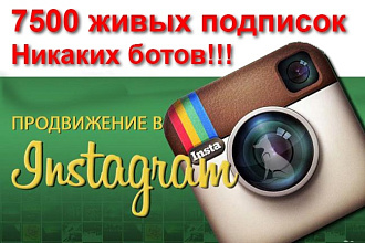 7500 подписок в инстаграм