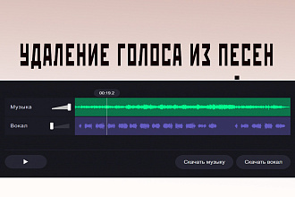 Сделаю из песни минусовку. Удалю голос. Сохраню в любом формате
