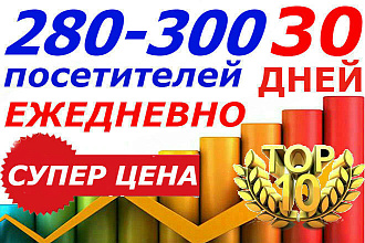 Посетители на сайт 300 в сутки ежедневно в течение 30 дней
