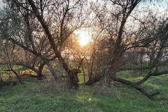 Текст