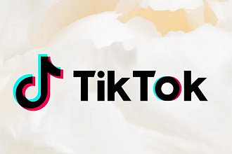 60 000 просмотров в Тик Ток
