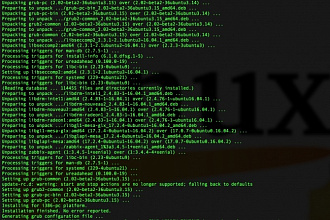 Установка и настройка web сервера