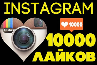 6000 качественных подписчиков в instagram