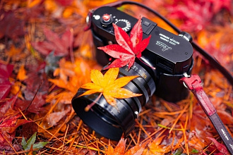 1001 подписчик в Ваш Instagram
