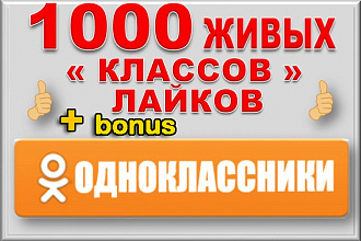 1000 лайков - классов в Одноклассники Безопасно+бонус 100 подписчиков