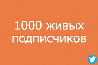 Подписчики в Twitter 1000 раскрутка