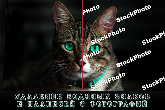 Удаление водяных знаков и надписей с изображений