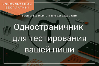 Быстрый сайт - одностраничник на Тильда для тестирования товара услуг