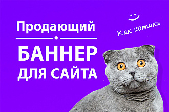 Сделаю продающий баннер для Вашего сайта
