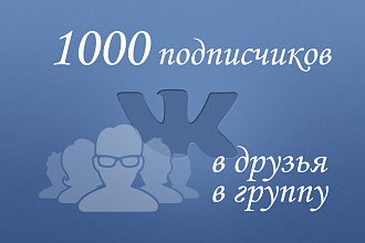 Добавлю 1000 подписчиков быстро. В группу или в друзья