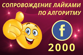 Сопровождение лайками в Facebook по алгоритму. 2000
