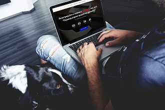Доработаю и оптимизирую сайт на платформе Tilda