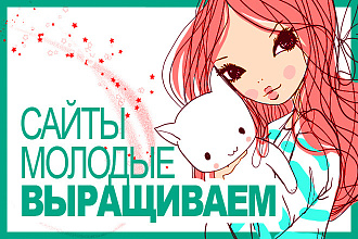 Выращиваем молодые сайты при помощи рекламного трафика и улучшения ПФ
