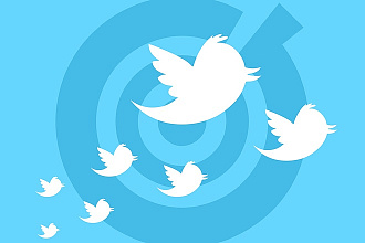 1700 подписчиков на Ваш аккаунт Twitter