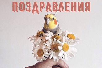Напишу любое поздравление