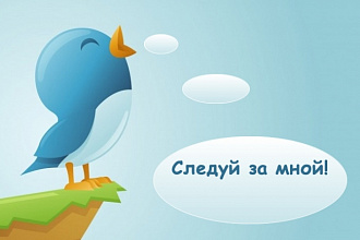 1700 подписчиков в ваш аккаунт Twiter