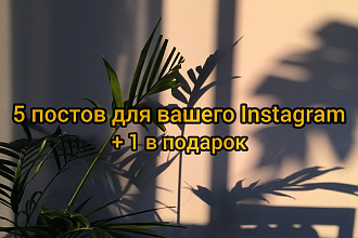 Напишу 5 постов в ваш Instagram + 1 пост в подарок