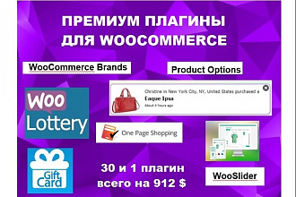 Премиум плагины wordpress для woocommerce, интернет-магазина