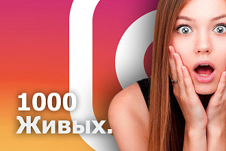 1000 Подписчиков Инстаграм