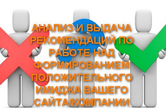 Анализ и выдача рекомендаций по работе над положительной репутацией