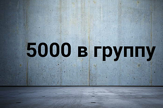 Продвижение группы, Паблика в вк