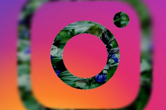 Настрою таргетированную рекламу для Instagram