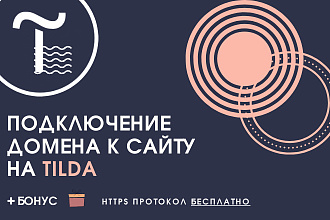 Подключение домена к сайту на CMS Tilda, Тильда