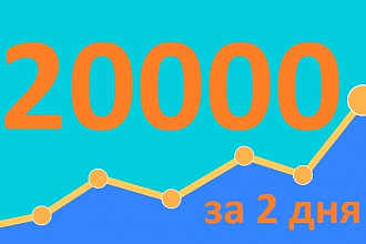 Трафик 20000 уникальных посетителей на сайт +70 ключевых слов