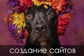 Сайт под ключ. Удобная админка, СЕО оптимизация, полный функционал