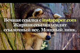 Качественная ссылка с сайта instapaper.com