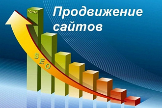 660 посетителей на сайт ежедневно в течение 15 дней 10000 посетителей