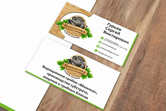 Сделаю визитки