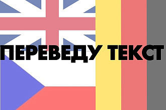 Переведу текст НА английский немецкий чешский