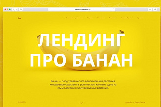 Создам сайт-лендинг на конструкторе