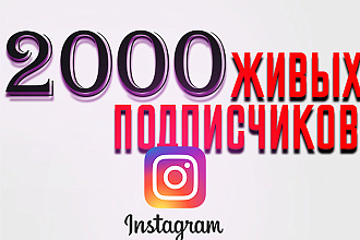 2000 Живых подписчиков с плюсом на профиль в Instagram