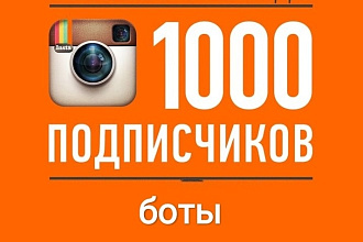 Подписчики в Инстаграм