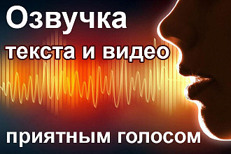 Озвучка текста и видео приятным голосом