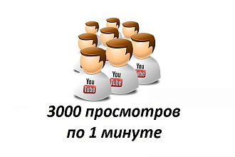 3000 просмотров по 1 минуте
