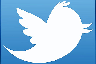 1700 подписчиков на ваш аккаунт Twitter