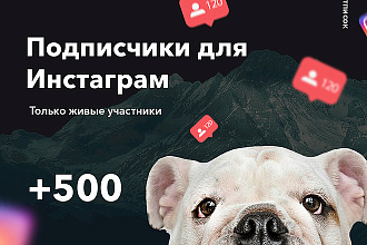 500 подписчиков на инстаграм