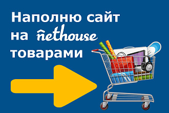 Наполню сайт на конструкторе Nethouse товарами