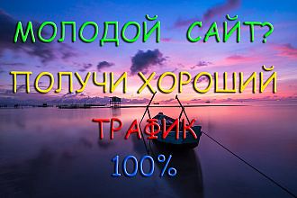 Качественный и плавный трафик для молодого сайта