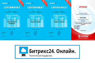 Техническая поддержка по Битрикс24, 1 час