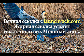 Жирная ссылка с сайта launchrock.com