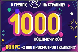 Продвижение групп ВК +1000 подписчиков. Бонус +2000 просмотров