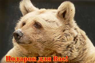 2500 знаков текста + баннер + слоган