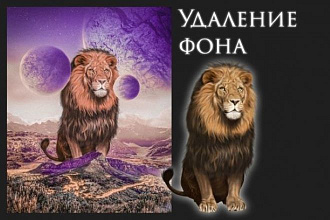 Уберу или заменю фон на картинке