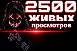 2500 просмотров на ваш Ютуб канал с удержанием 80%