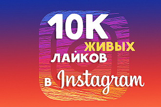 10 000 живых лайков В instagram