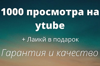 Просмотров 1000 + лаикй